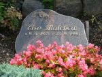 Else Malchow.JPG